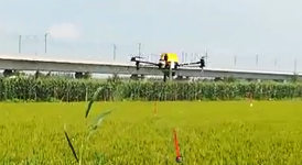 “糧食殺手”侵襲，數(shù)字鷹AK系列植保無(wú)人機(jī)為作物高產(chǎn)續(xù)航