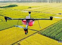 谷上飞3WDM8-20多功能大载荷农用施肥植保机